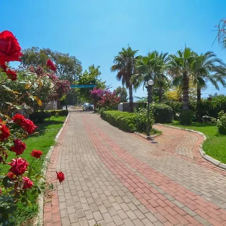 Beach Front For Rent 알란야